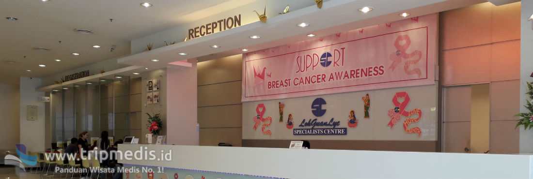 Rumah Loh Guan Lye Specialists Centre Breast Cancer Awareness